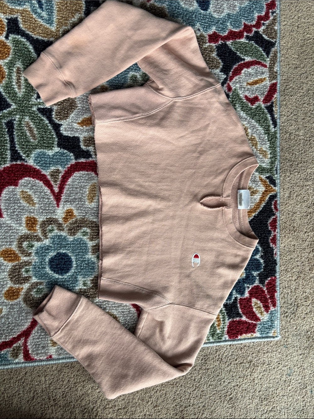 Champion Cropped Crewneck Sweatshirt in Blush